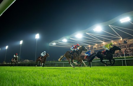 Royal Champion wins the 2025 Bahrain International Trophy at Sakhir Racecourse 