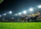 Royal Champion (James Doyle) wins the Bahrain International Trophy at Sakhir racecourse 
Bahrain 14.11.25 Pic: Edward Whitaker