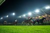 Royal Champion (James Doyle) wins the Bahrain International Trophy at Sakhir racecourse 
Bahrain 14.11.25 Pic: Edward Whitaker