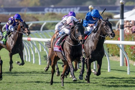 Ethical Diamond charges to victory in the 2025 Breeders' Cup Turf at Del Mar