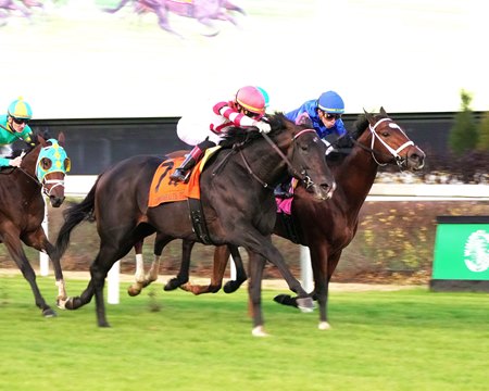 Giocoso outkicks Chapman's Peak in the Commonwealth Turf Stakes at Churchill Downs