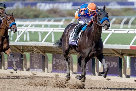 Splendora rolls to victory in the Breeder's Cup Filly and Mare Sprint at Del Mar