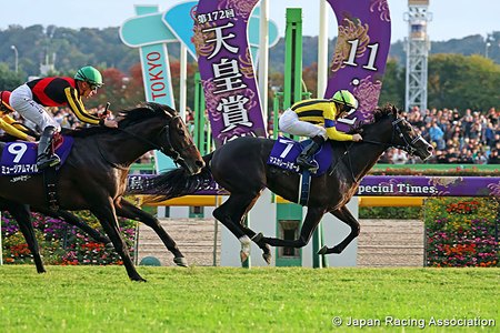 Masquerade Ball wins the Tenno Sho (Autumn) (G1) at Tokyo Racecourse