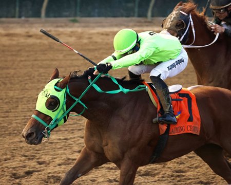 Double Your Money wins the Claiming Crown Jewel at Churchill Downs