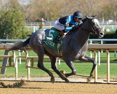 Finely Bred Into Mischief Colt Graduates at the Big A
