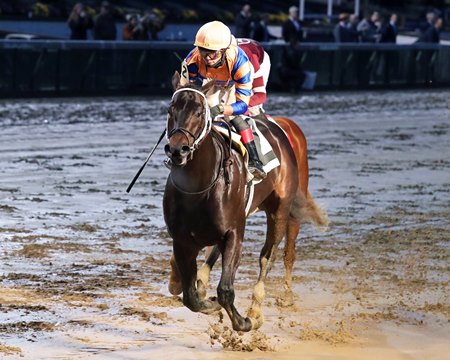 Jose Ortiz rides Chip Honcho to a 2025 maiden special weight victory at Churchill Downs