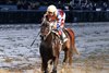 Chip Honcho, Maiden Win, Churchill Downs, November 20 2025