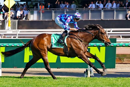 Pride Of Jenni wins the 2025 Empire Rose Stakes at Flemington Racecourse