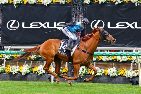 Half Yours wins the 2025 Melbourne Cup at Flemington Racecourse 