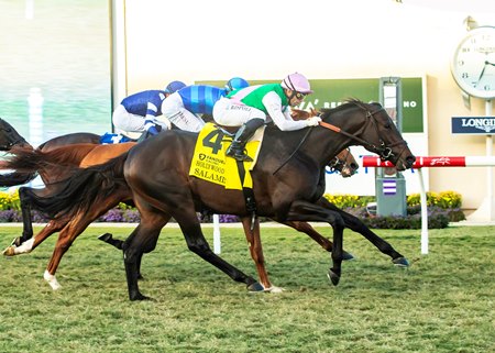 Salamis closes outside to win the Hollywood Derby at Del Mar