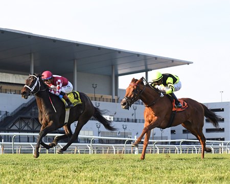 Fionn wins the Jockey Club Oaks Invitational Stakes at Aqueduct Racetrack