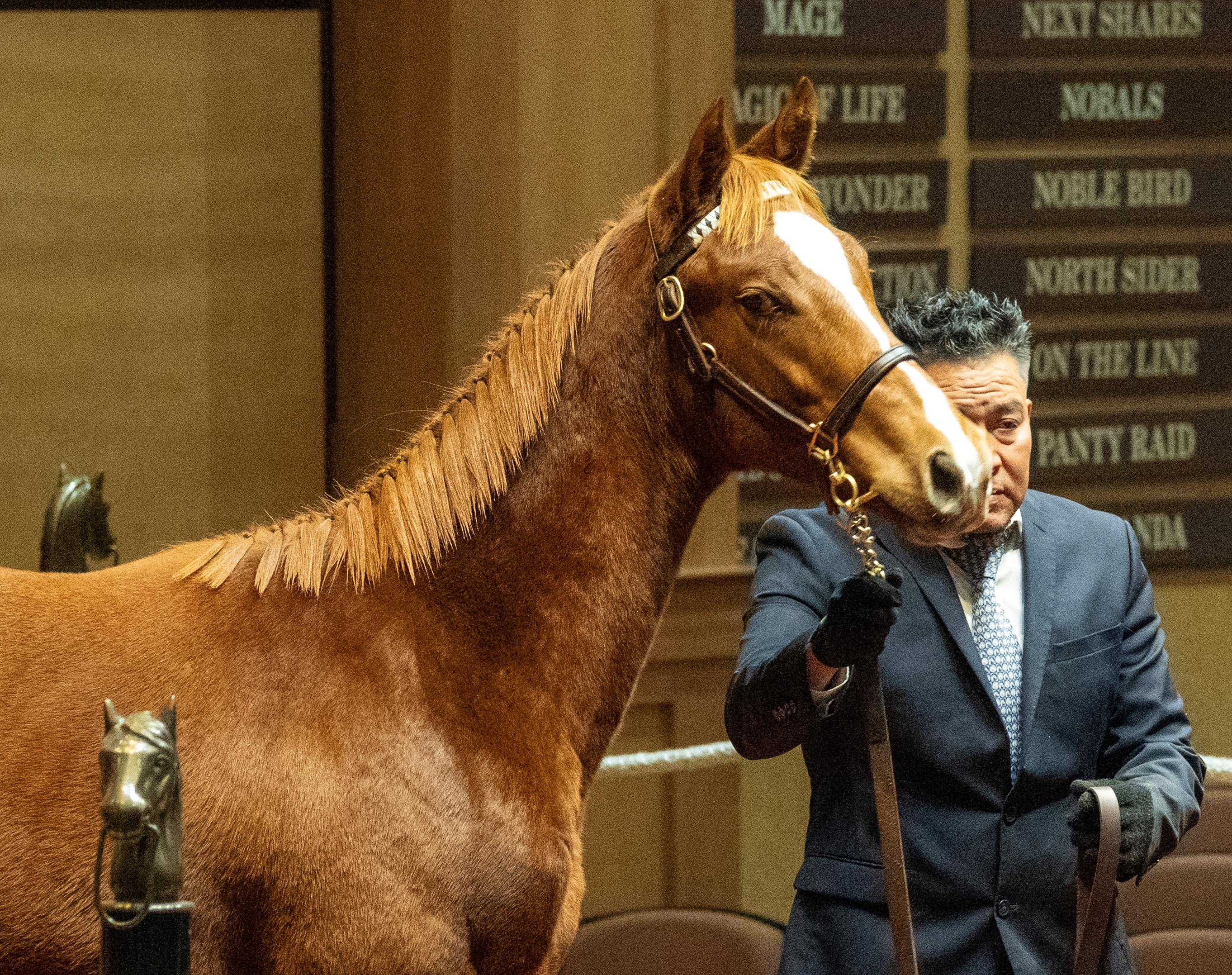 Cody's Wish, Up to the Mark First Foals Standout at F-T - BloodHorse