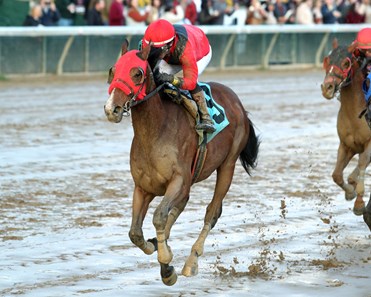 Don Knippenberg Racing Timing Difference - Horse Profile - BloodHorse