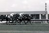 Wandarous wins the 1990 Kansas City Handicap at The Woodlands
