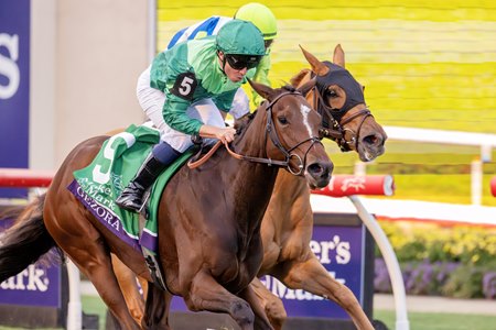 Gezora defeats She Feels Pretty in the 2025 Breeders' Cup Filly and Mare Turf at Del Mar