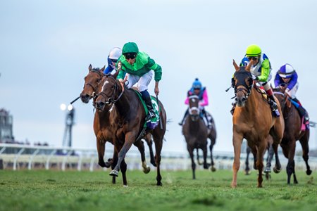 Gezora takes command in the Breeders' Cup Filly and Mare Turf at Del Mar