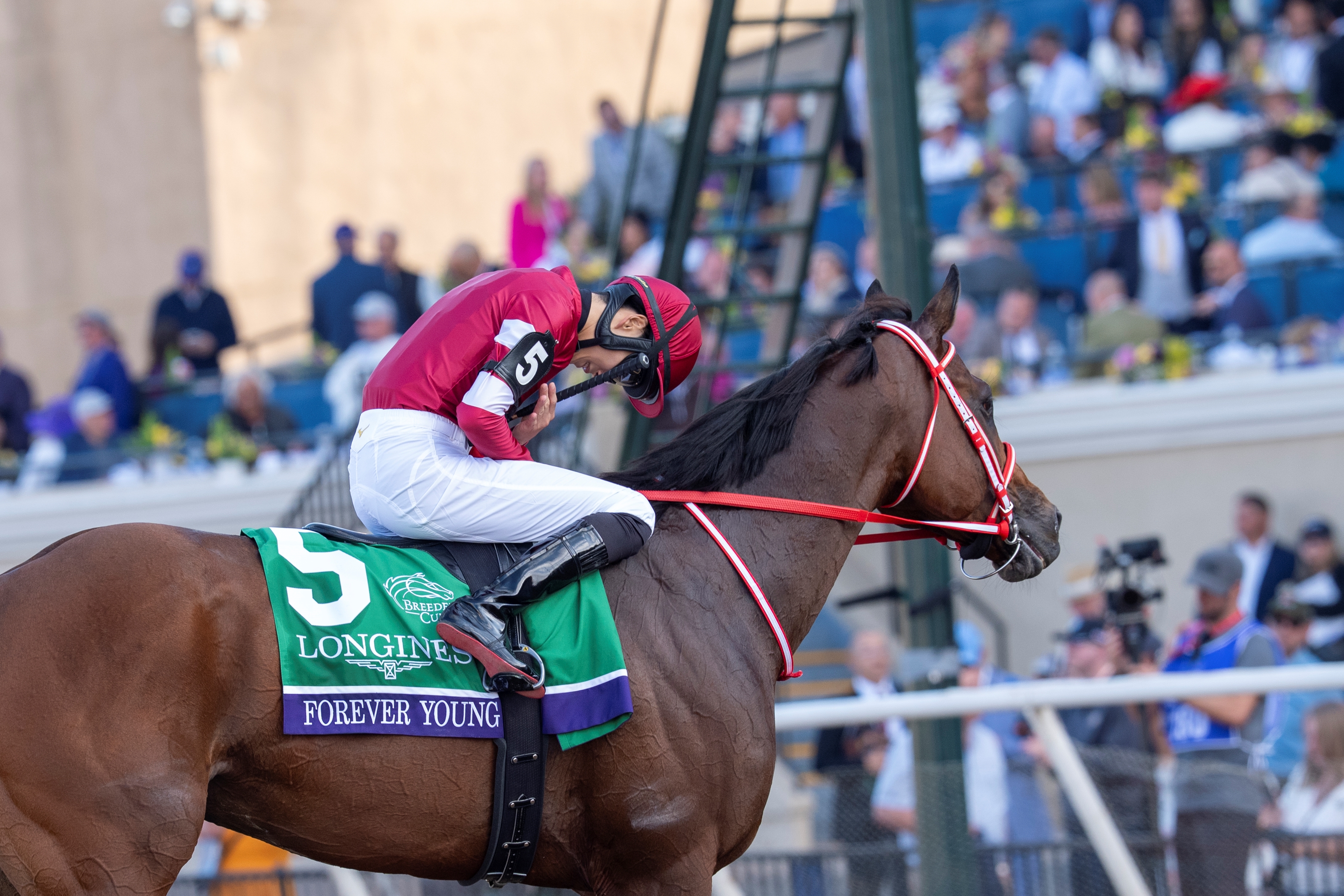 Longines Breeders' Cup Classic (G1): Forever Young (JPN) - BloodHorse