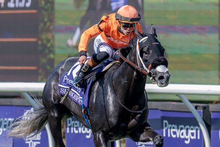 Shisospicy wins the Breeders' Cup Turf Sprint at Del Mar