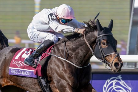 Ethical Diamond wins the Breeders' Cup Turf at Del Mar