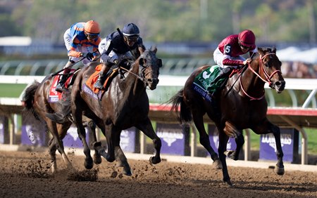 Forever Young defeats Sierra Leone and Fierceness in the Breeders' Cup Classic at Del Mar