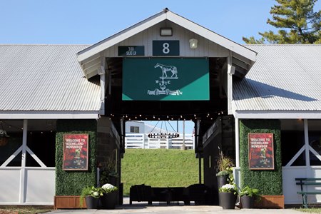 The November Sale at Keeneland