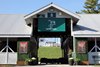 Scenics, 2025 Keeneland November Sale