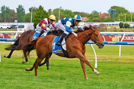 Jimmysstar wins the C.F. Orr Stakes at Caulfield Racecourse