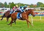 Jimmysstar wins the 2025 C F Orr Stakes at Caulfield Racecourse
ridden by Ethan Brown and trained by Ciaron Maher