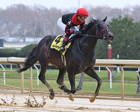Doc Sullivan rolls in the Thunder Rumble division of the New York Stallion Series Stakes at Aqueduct Racetrack
