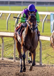 Mr Mo Money wins the Joseph R. Peluso Memorial Stakes at Fair Grounds