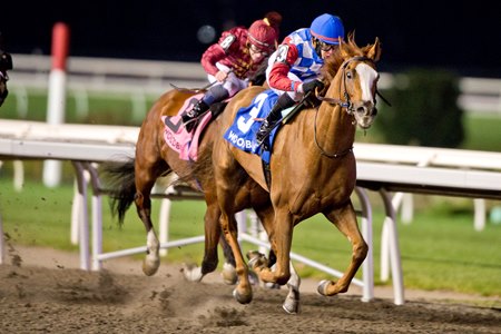 Dresden Row wins the Autumn Stakes at Woodbine