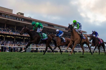 The Del Mar turf welcomed the 2025 Breeders' Cup Filly & Mare Turf, won by Gezora
