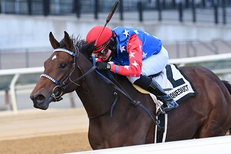 Shilling wins the Tempted Stakes at Aqueduct Racetrack