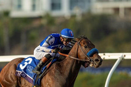 Nysos takes the lead en route to winning the 2025 Breeders' Cup Dirt Mile at Del Mar