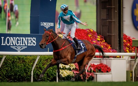 Romantic Warrior, shown winning the 2024 Hong Kong Cup, will try to win the race a fourth straight year at Sha Tin