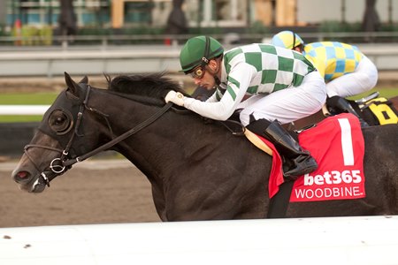 The Big Con wins the Grey Stakes at Woodbine