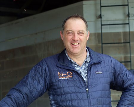 Nicky Drion at the Keeneland November sale