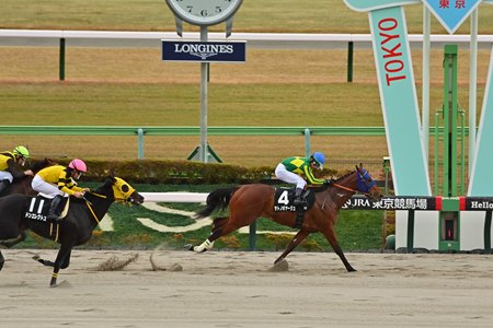 Satono Voyage wins the Cattleya Stakes at Tokyo Racecourse