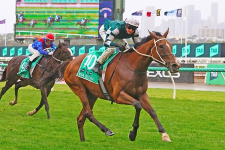 Via Sistina wins the Champions Stakes at Flemington Racecourse
