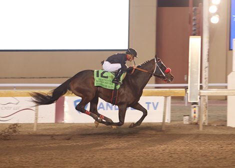 Express Kid Attracts $800,000 at F-T Flash Sale