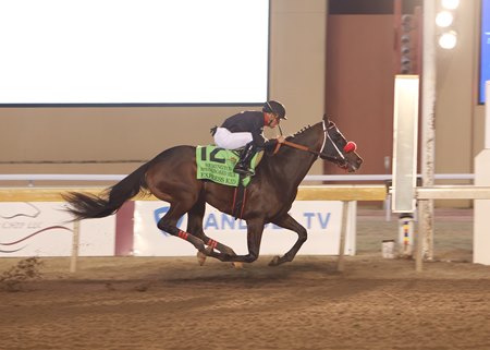 Express Kid wins the Remington Springboard Mile Stakes at Remington Park