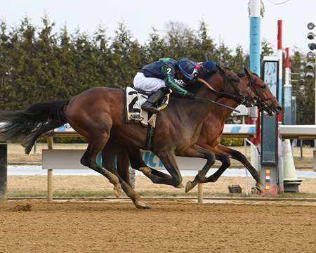 Ottinho wins a maiden special weight at Aqueduct Racetrack