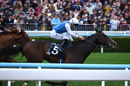 Sosie wins the 2025 Hong Kong Vase at Sha Tin