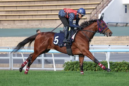 Embroidery on the track ahead of the 2025 International Jockeys' Championship at Happy Valley Racecourse