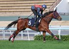 Embroidery - Trackwork - 2025 LONGINES International Jockeys' Championship - 121125