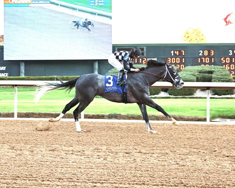 Speed King Headlines Oaklawn's Fifth Season Stakes