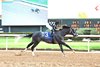 Speed King wis race 09 at Oaklawn 12/26/25