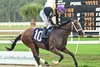 Sneaky Good wins the 2025 Sandpiper Stakes at Tampa Bay Downs