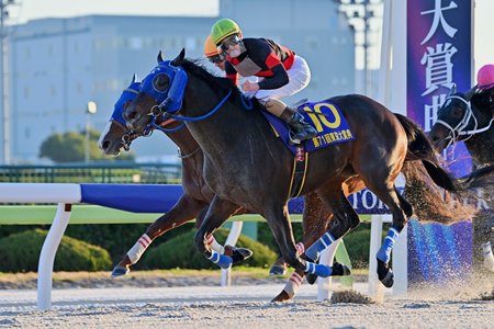 Diktaean wins the 2025 Tokyo Daishoten