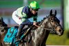 Gas Me Up and jockey Mirco Demuro win the Grade II, $200,000 Joe Hernandez Stakes, Monday, December 29, 2025 at Santa Anita Park, Arcadia CA.
© BENOIT PHOTO